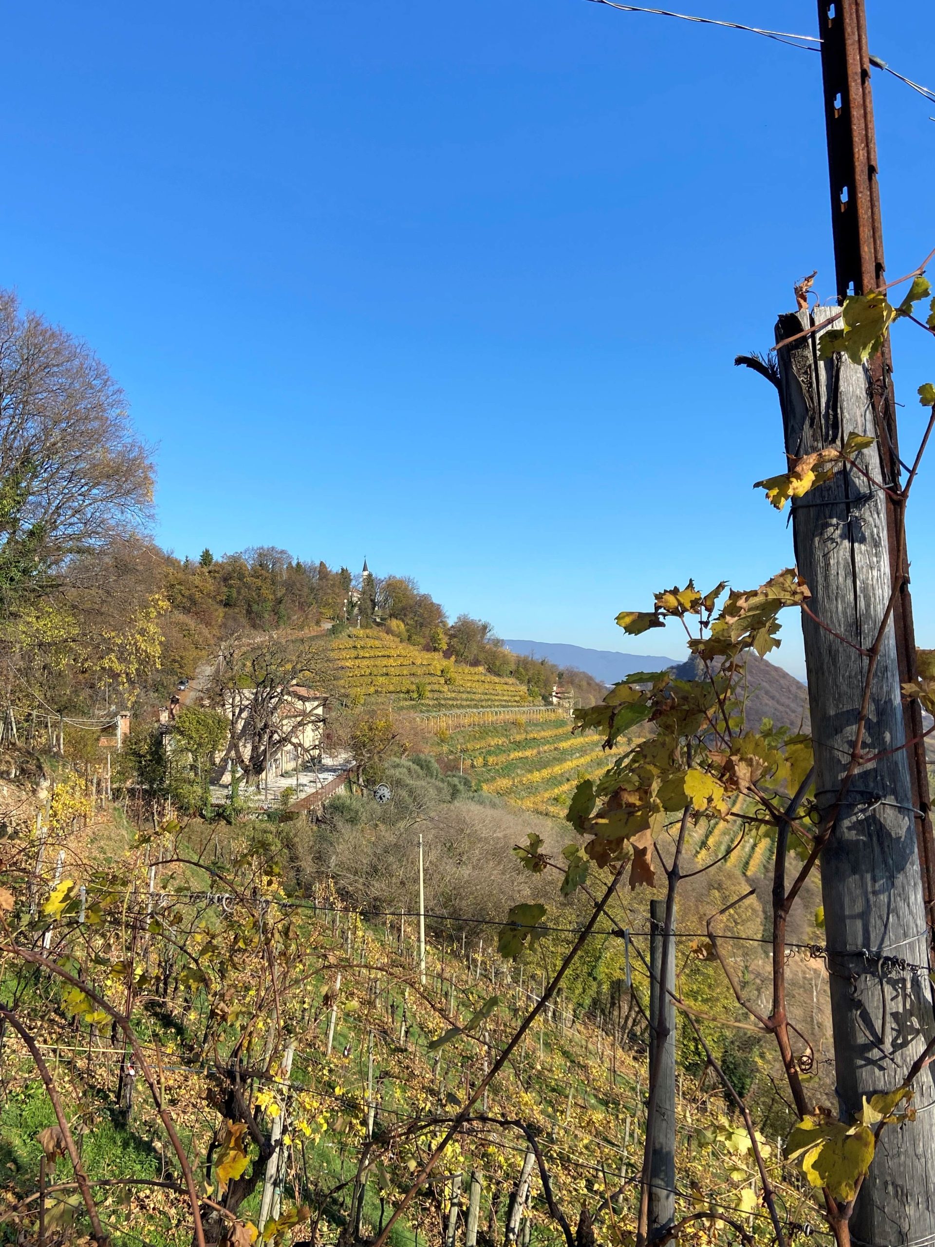 Viaggio tra le Rive storiche Col di San Martino e Soligo. Dove la storia incontra il futuro