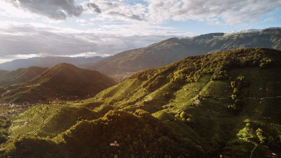 Viaggio tra le Rive storiche Col di San Martino e Soligo. Dove la storia incontra il futuro