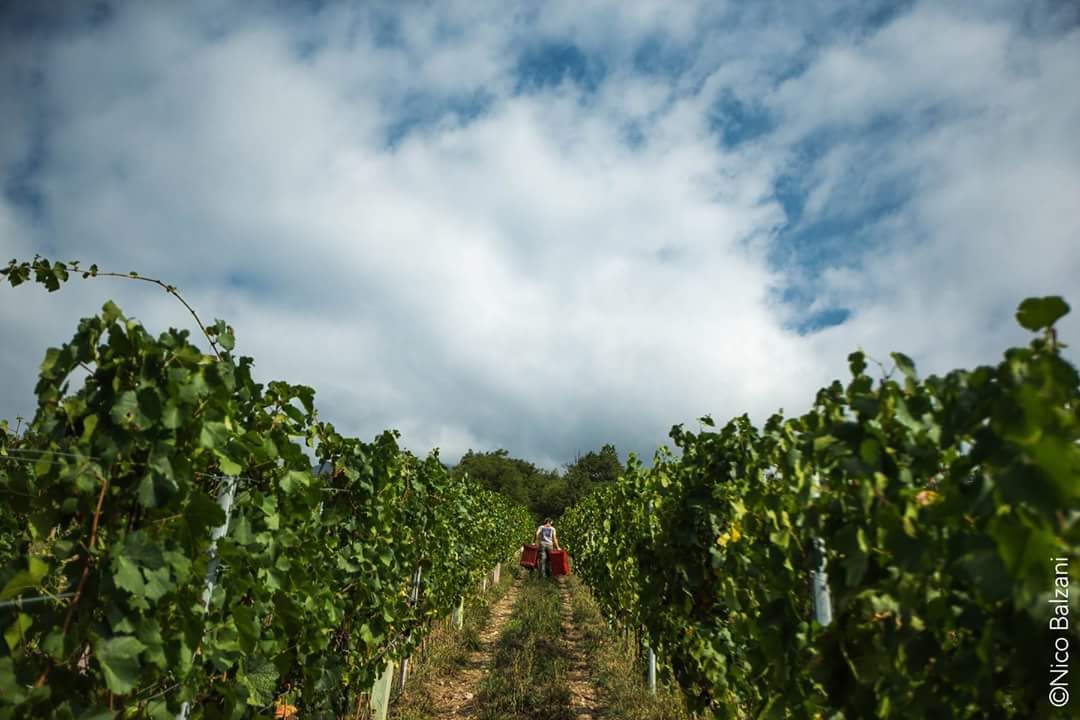 Grosjean Vins vi aspetta a Vinitaly!