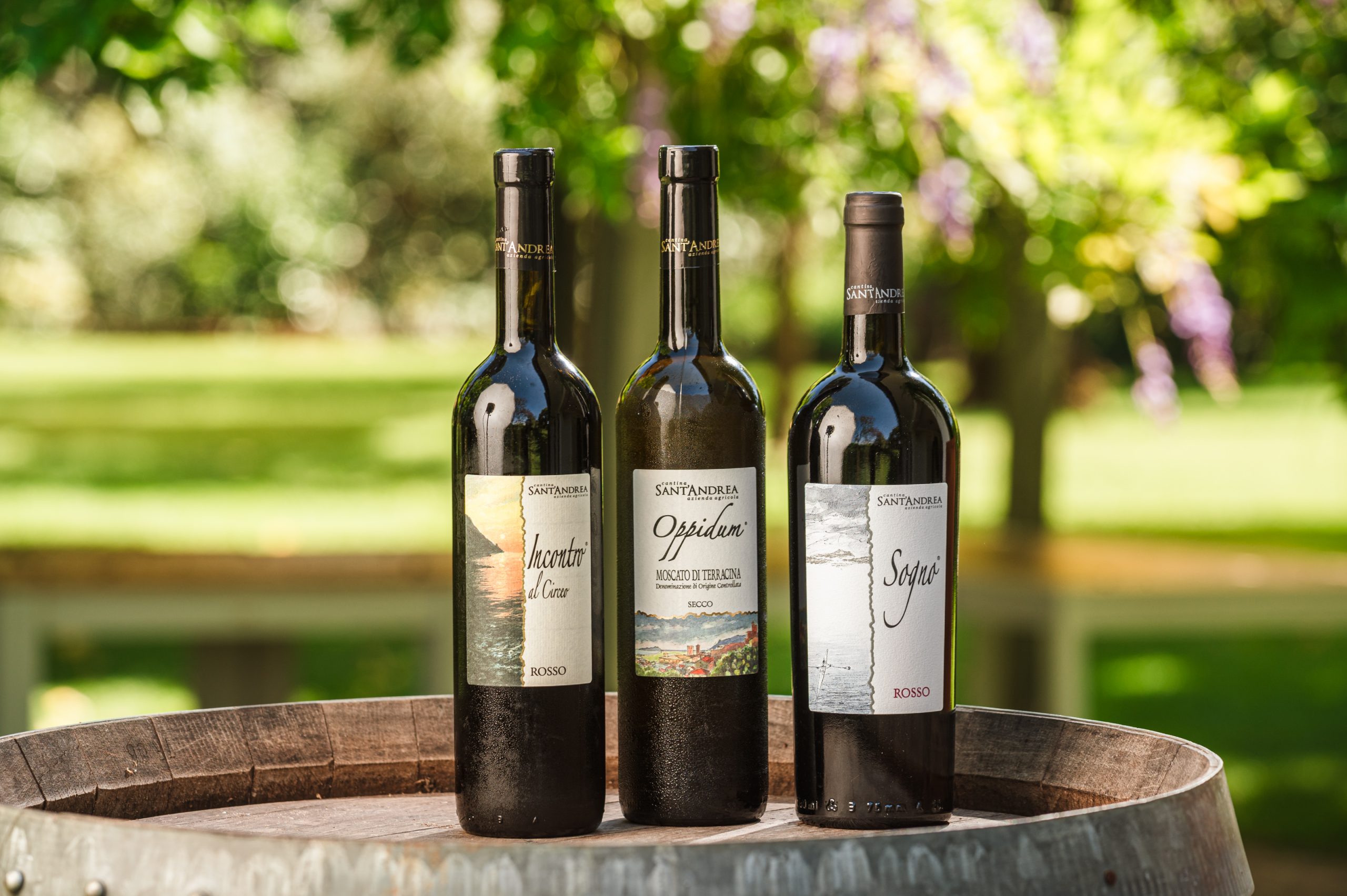 Cantina  Sant’Andrea al Vinitaly 2025