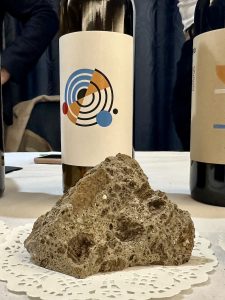 IO VINO 2025