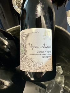 IO VINO 2025