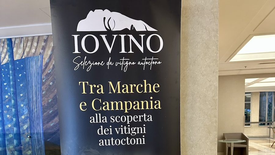 IO VINO 2025