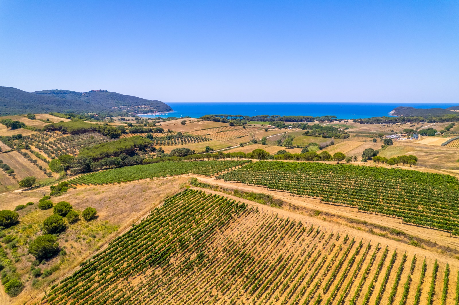 Vini Bagnanti. Il vino torna in riva al mare
