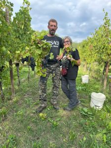 Azienda Vitivinicola Di Gaspero. Flavia e la traiettoria circolare