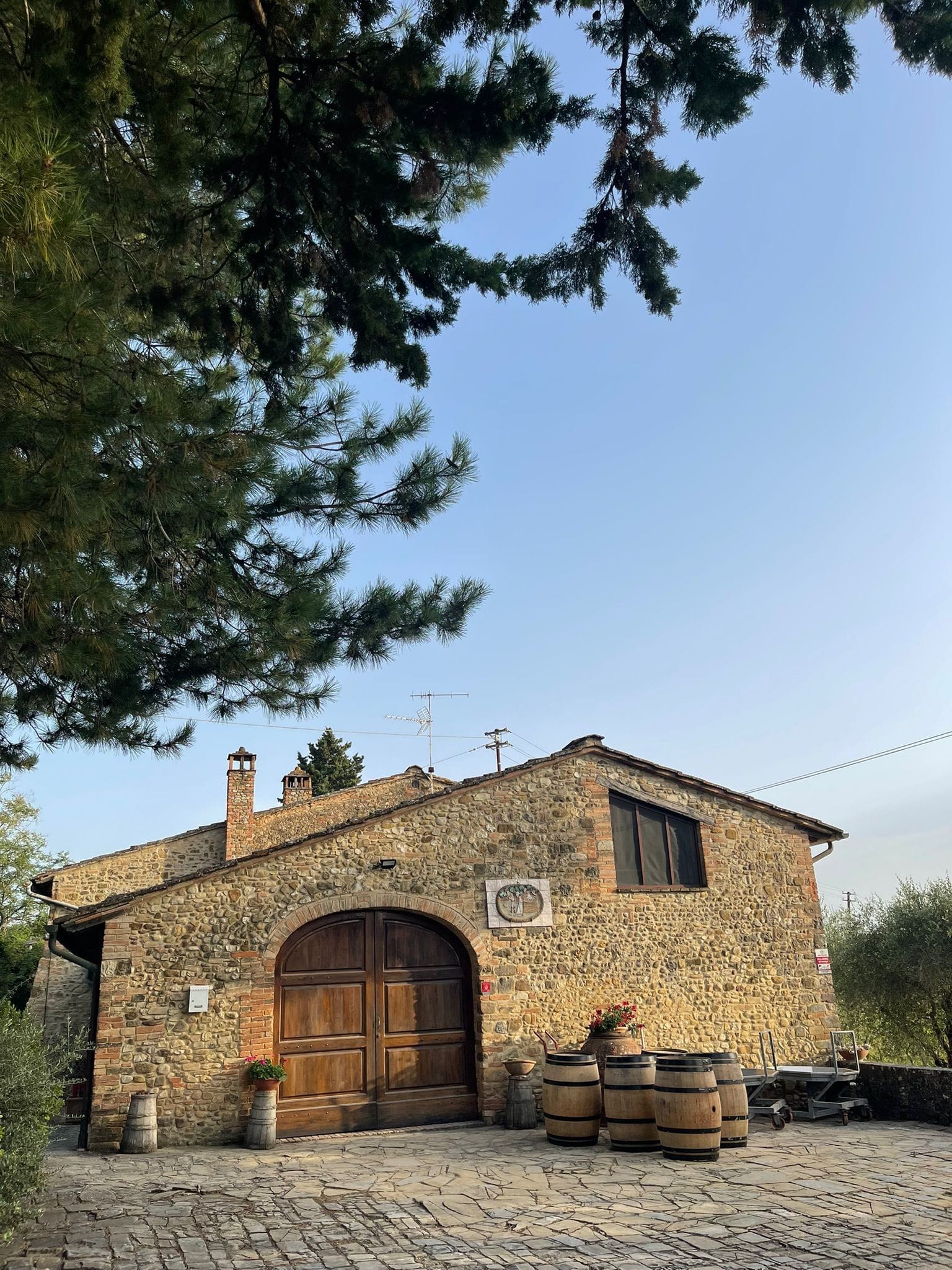 Clantenova. L'anima multiculturale del Chianti che parla attraverso il vino