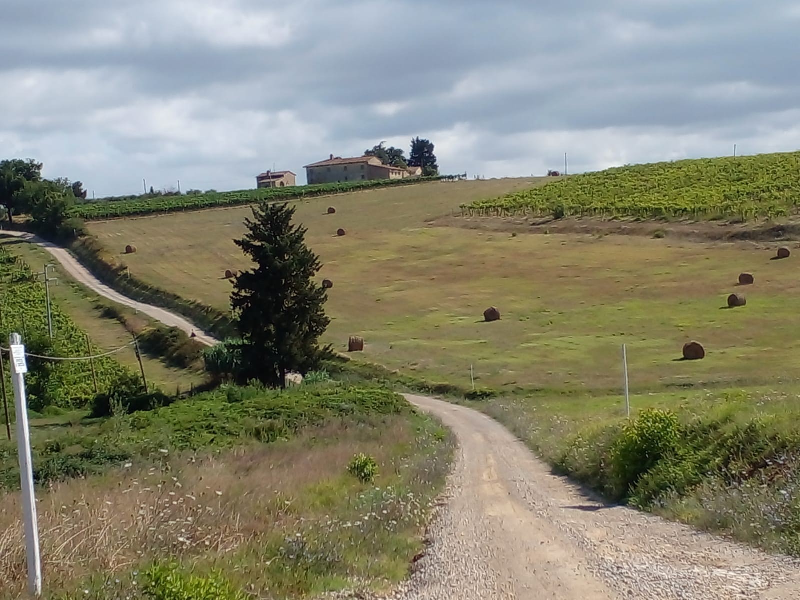 Clantenova. L’anima multiculturale del Chianti che parla attraverso il vino
