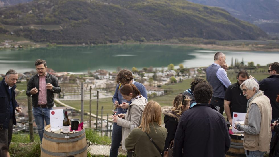 Il Kalterersee 2024 conferma qualità e potenziale nella seconda edizione di Anteprima Kalterersee