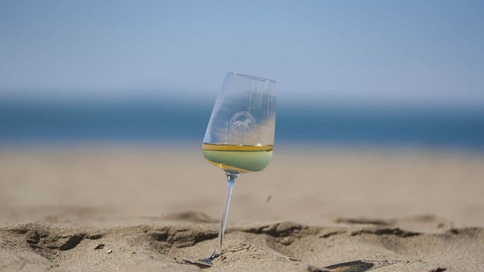 Vermentino Grand Prix 2025. Ecco la top ten dei Vermentini della DOC Maremma Toscana