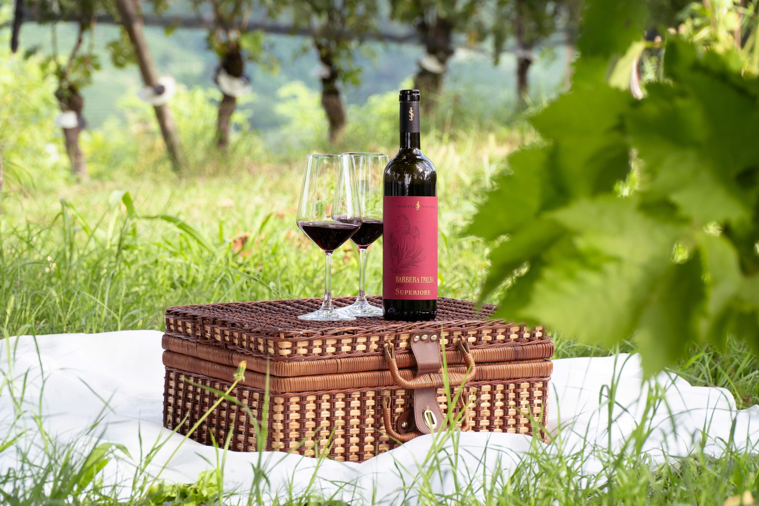 Vivere il Barolo, respirare le langhe