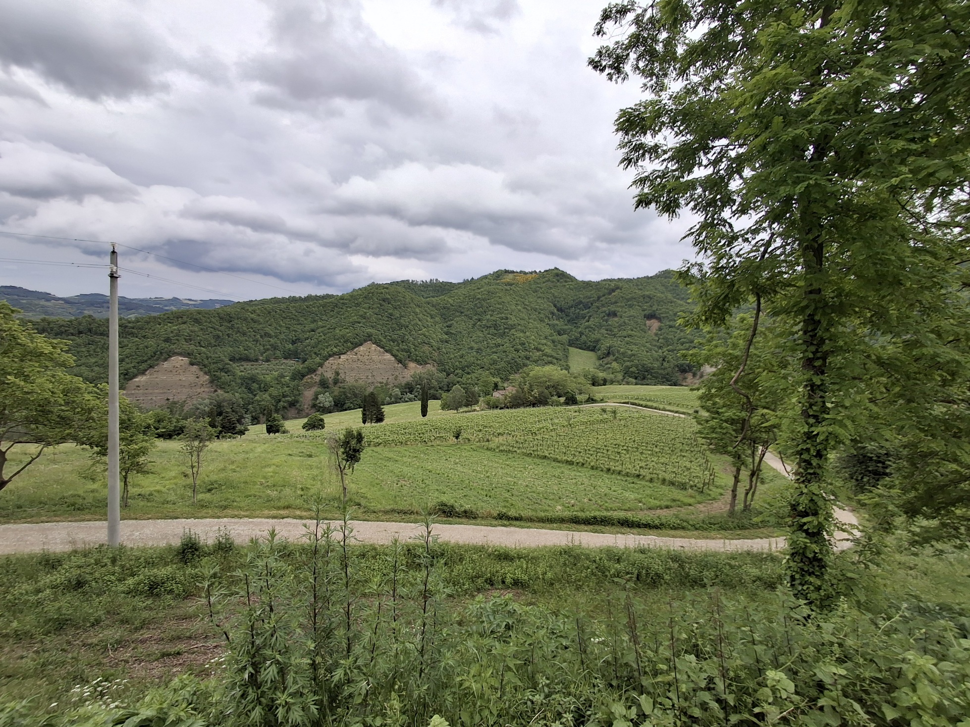 Da Brisighella al Delta del Po