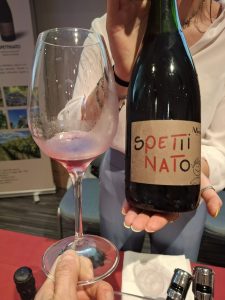 ViniAmo 2025