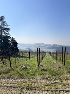 Cordero San Giorgio. Dal Nebbiolo al Pinot Nero: un gioco di passioni che diventa progetti
