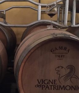 Vigne del Patrimonio. Che prima volta!