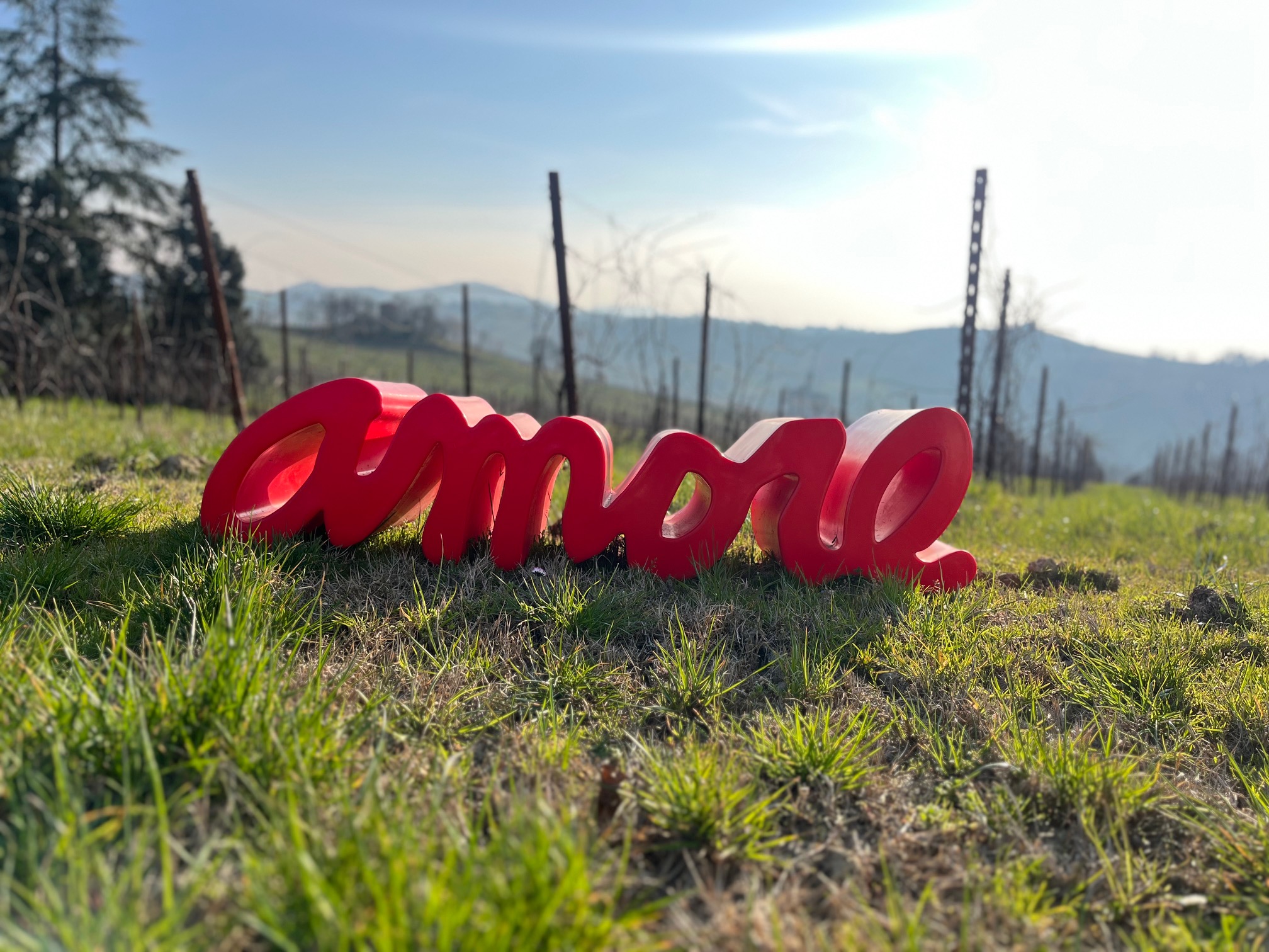 Dal Nebbiolo al Pinot Nero. Un gioco di passioni che diventano progetti: Cordero San Giorgio