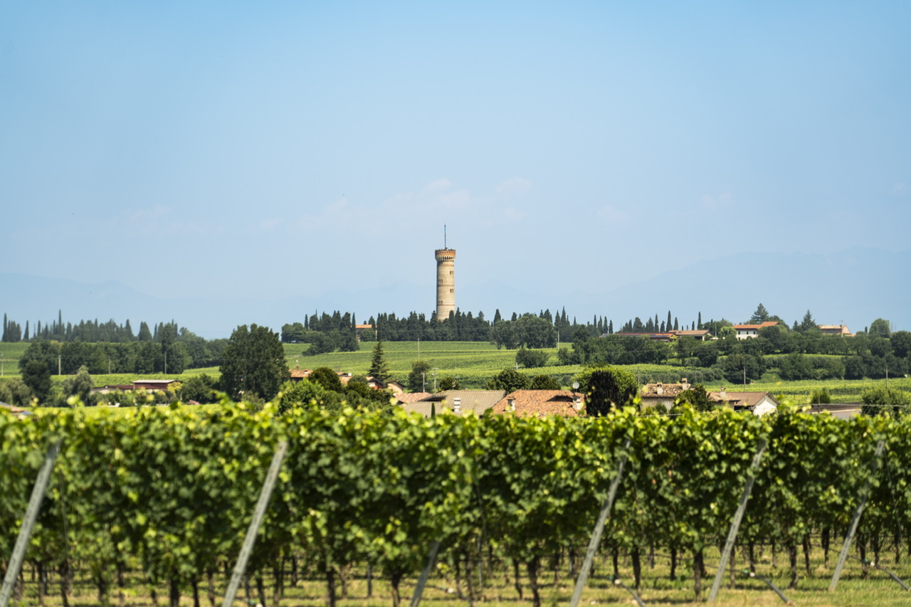Cantina Patrizia Cadore. 120 anni di Garda