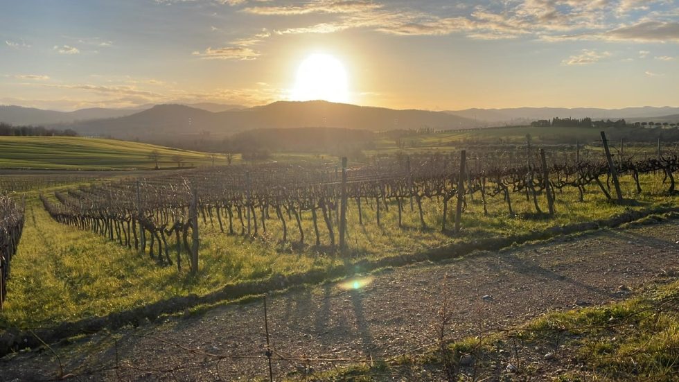 Podere Cigli. Dalla Sicilia a Massa Marittima