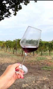 Oriasa nẹs casicẹ. Il vino racconta storie di terre e di cuore tra vigne e sorrisi