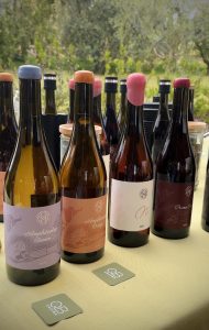 One Belvedere Tuscany. La natura incontra il lusso nel cuore della Toscana