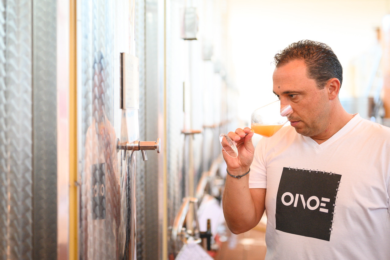 Oione. Alex Cerioli, la forma dei sogni