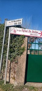 Vignai da Duline. Lorenzo Mocchiutti e Federica Magrini: il rispetto della terra