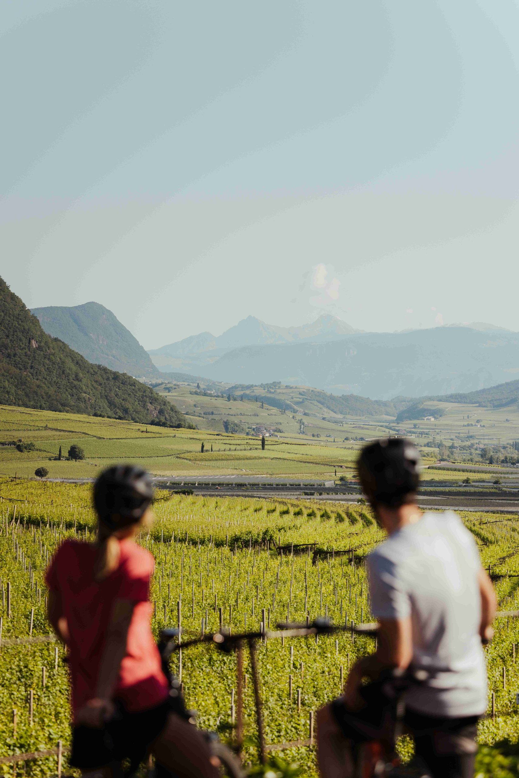 Enoturismo in Alto Adige: cosa fare d’estate tra cantine, natura e sport
