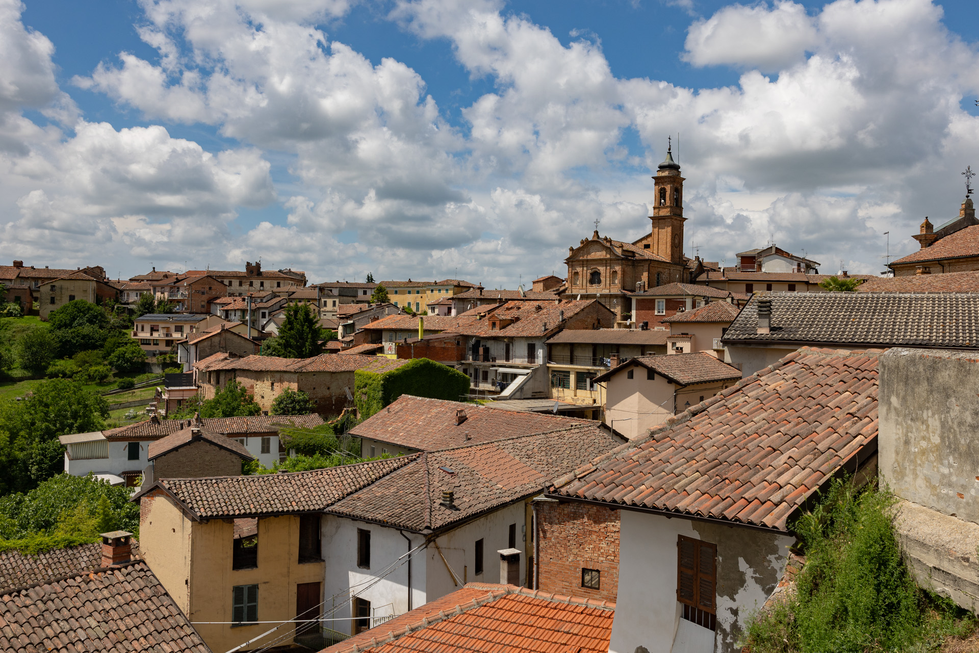 Nel cuore del Monferrato, il vino che racconta un territorio