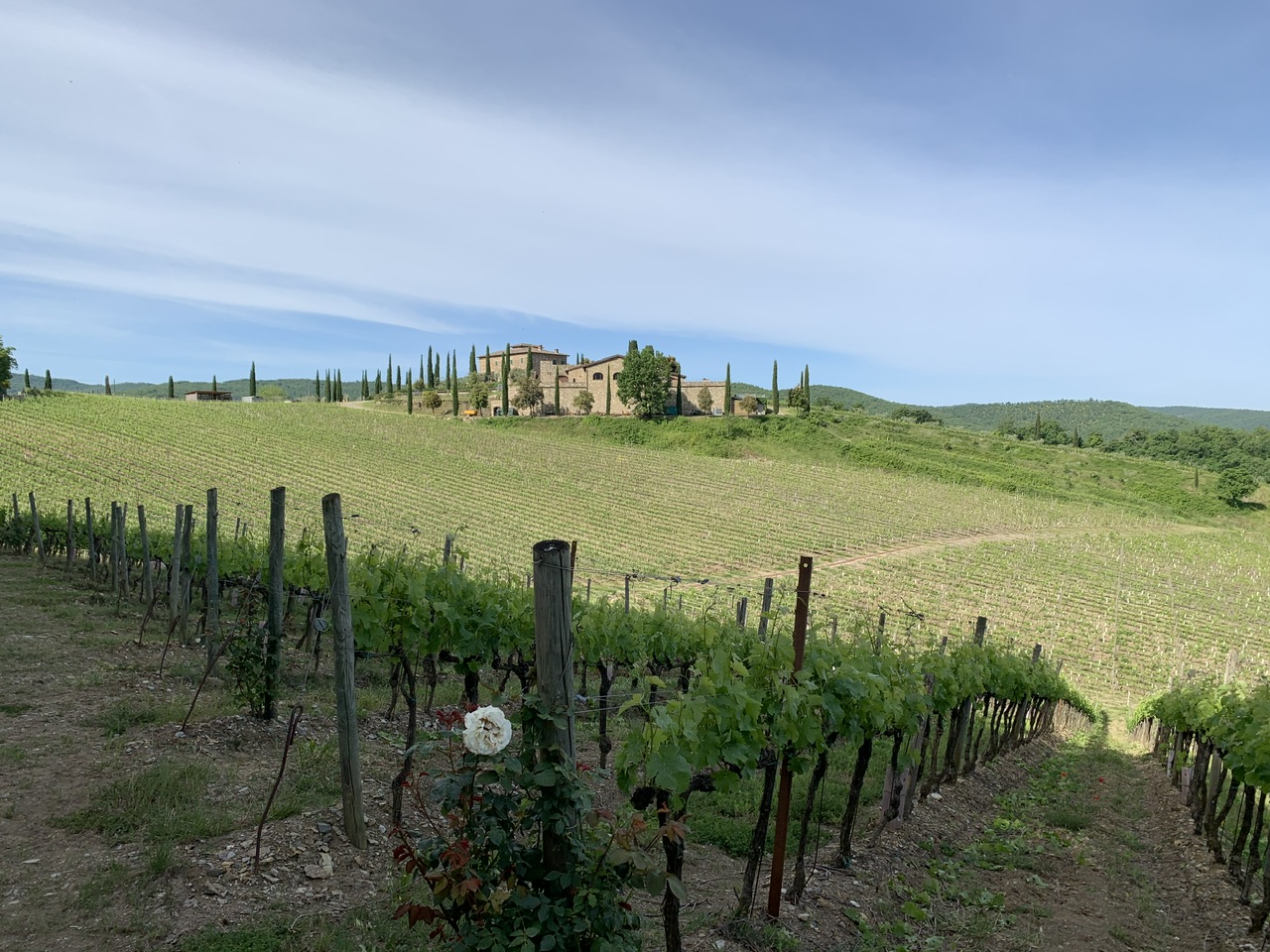 Borgo Salcetino. Gabriele Rosi, Qualis pater, talis filius