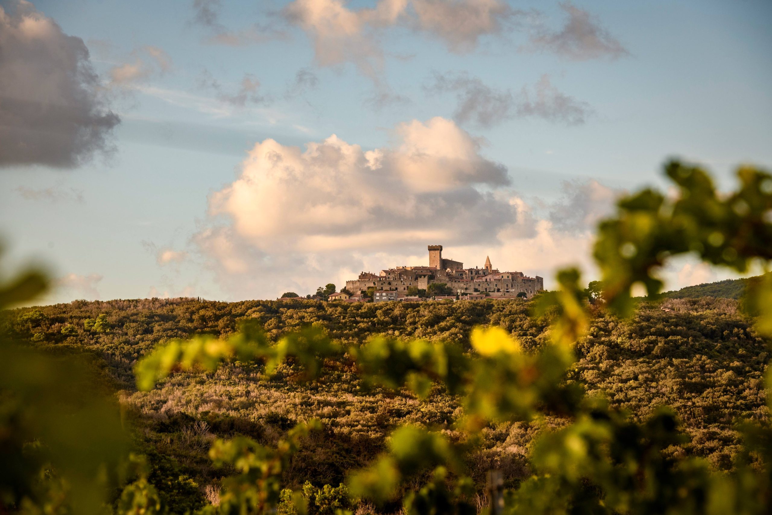 Monteverro inaugura “la terrazza” quattro serate per brindare all’estate in maremma