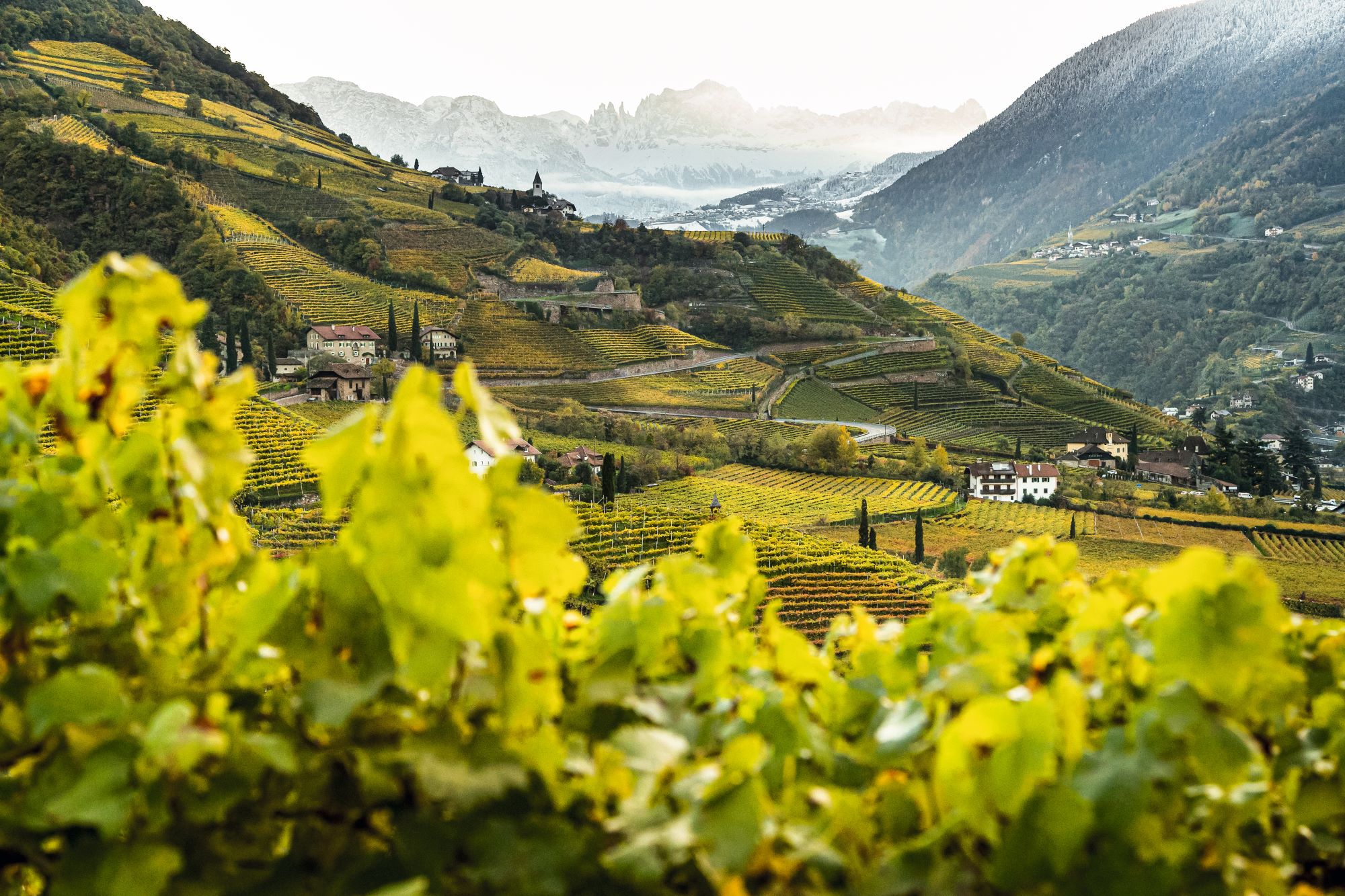 Enoturismo in Alto Adige: cosa fare d’estate tra cantine, natura e sport