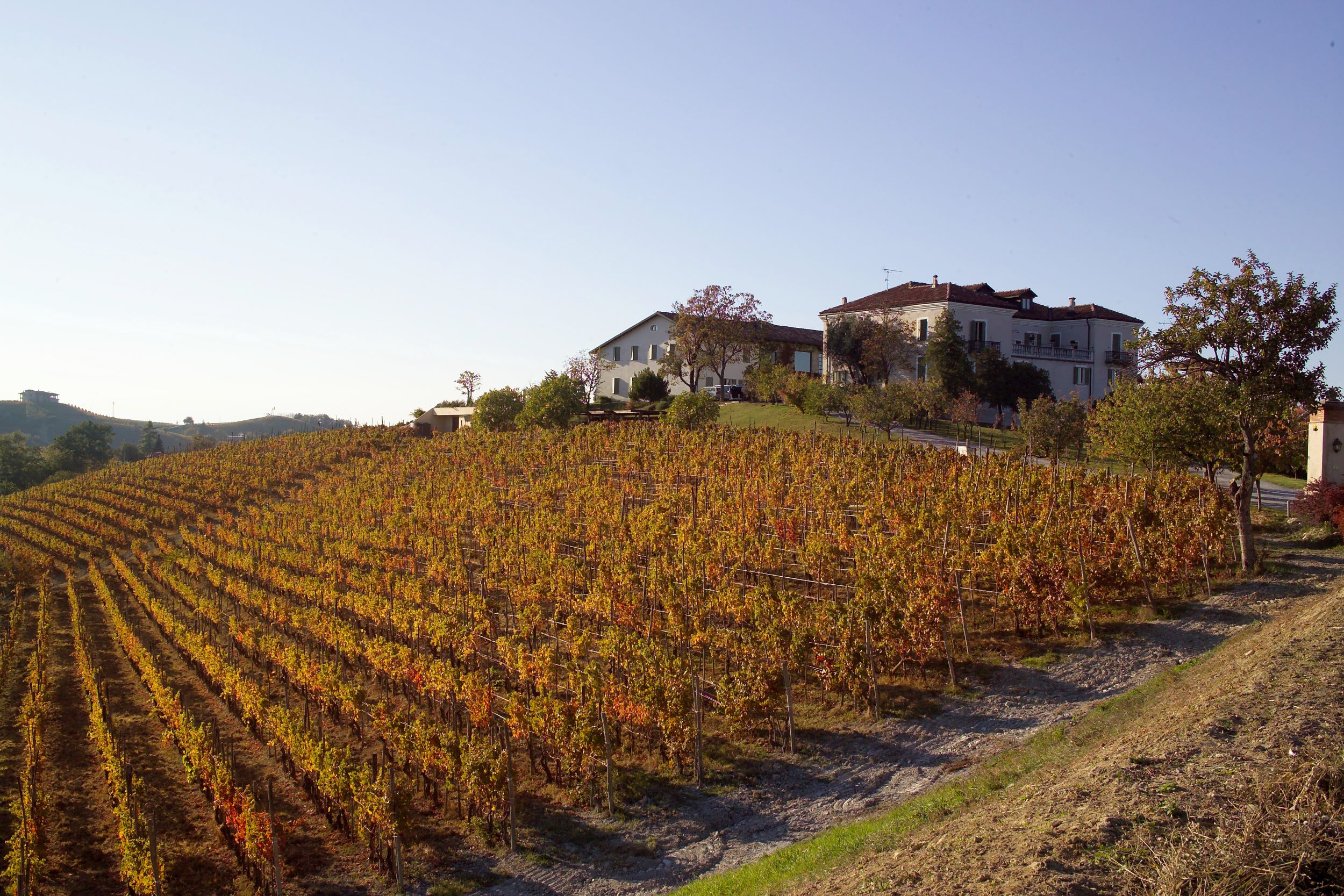 Poderi Luigi Einaudi: l’essenza e il fascino delle Langhe