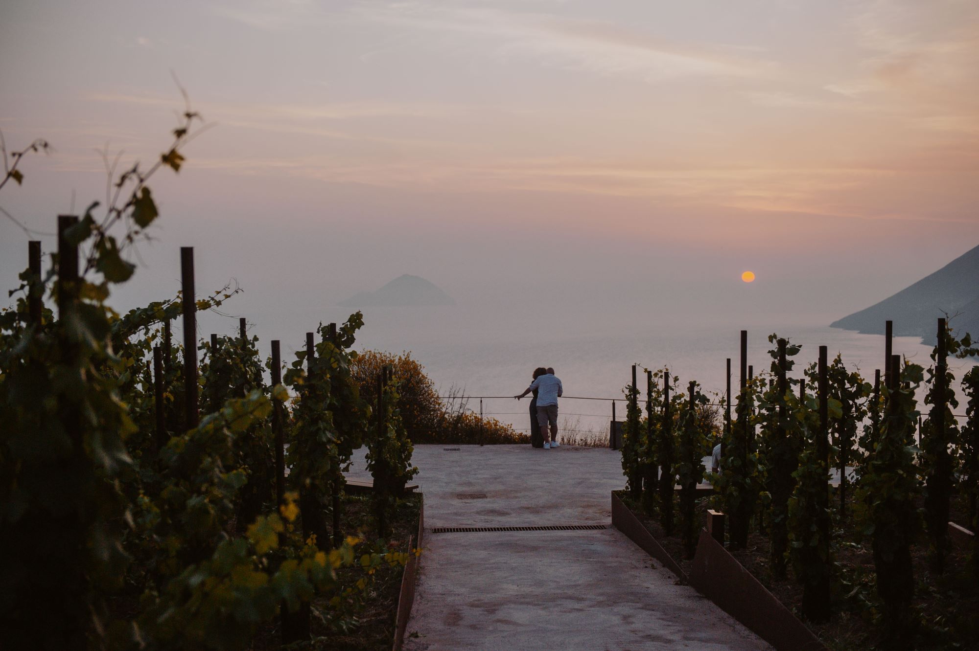 Sunset live music a Tenuta di Castellaro concerti al tramonto tra la vigna e il mare
