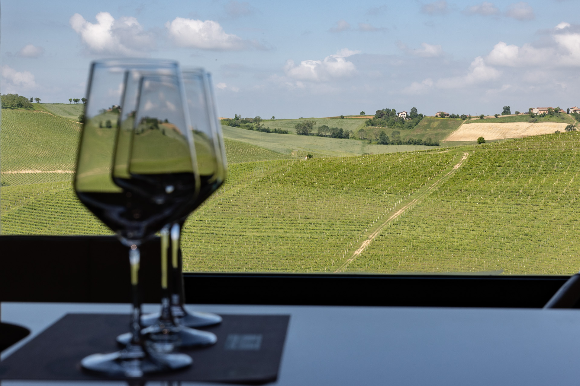 Nel cuore del Monferrato, il vino che racconta un territorio