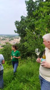 Martissima. Marta Venica, fuori dal coro, dentro la vigna