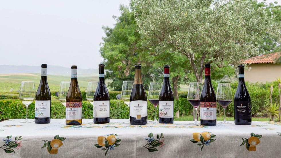 Calici di Stelle 2025 a Principe di Corleone: vino, stelle e la prima vendemmia 100% biologica
