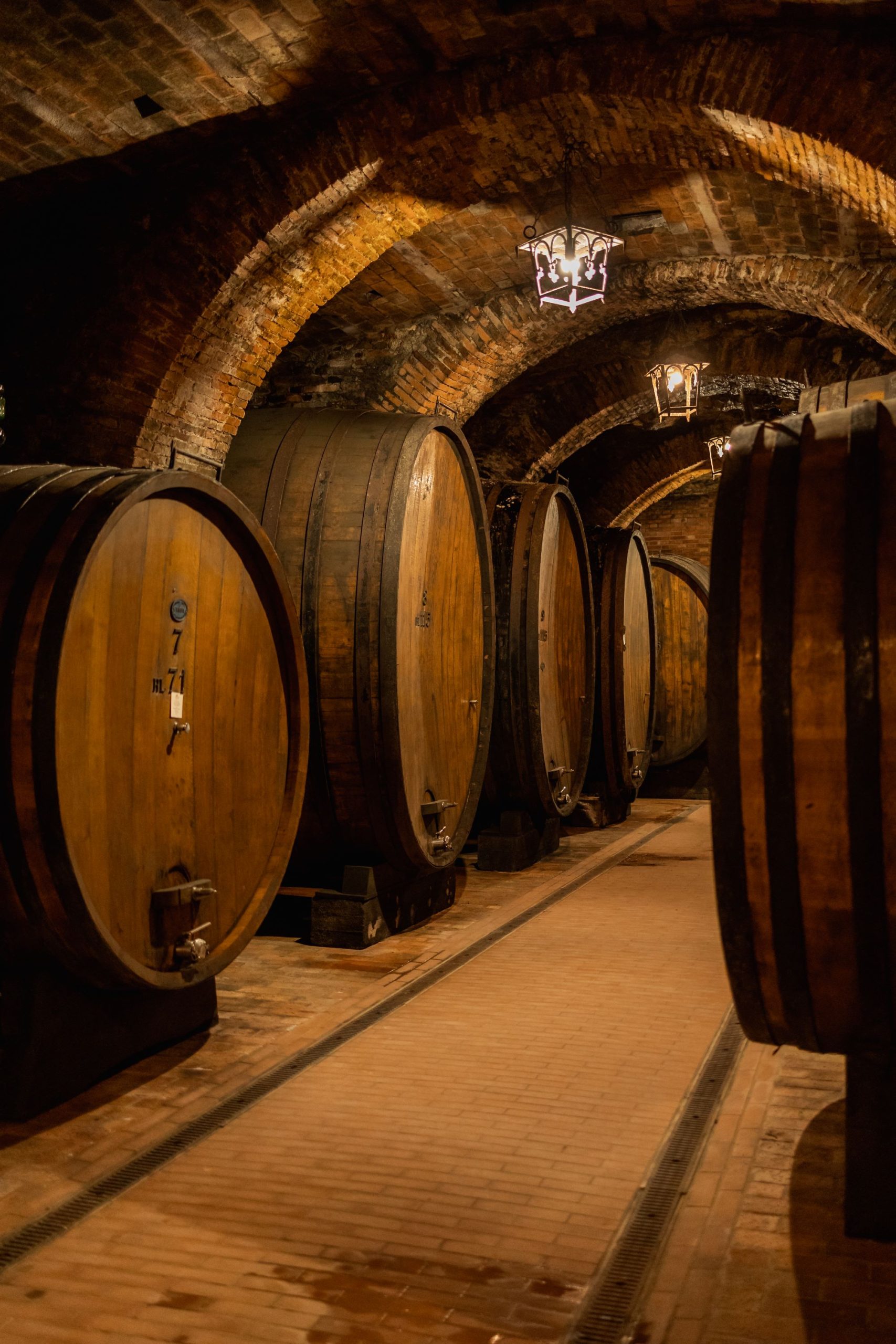 Sotto le stelle di San Lorenzo, Talosa racconta Montepulciano. La storica cantina tra i protagonisti di Calici sotto le Stelle 2025