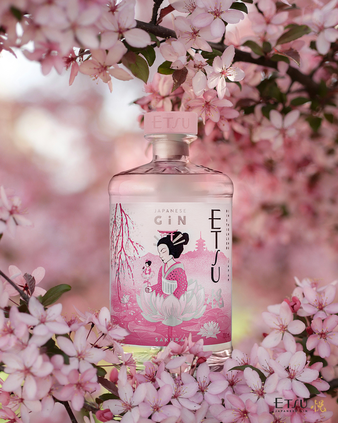 D&C e Gin ETSU: una storia di successo, innovazione ed esperienze nel mondo del Sol Levante