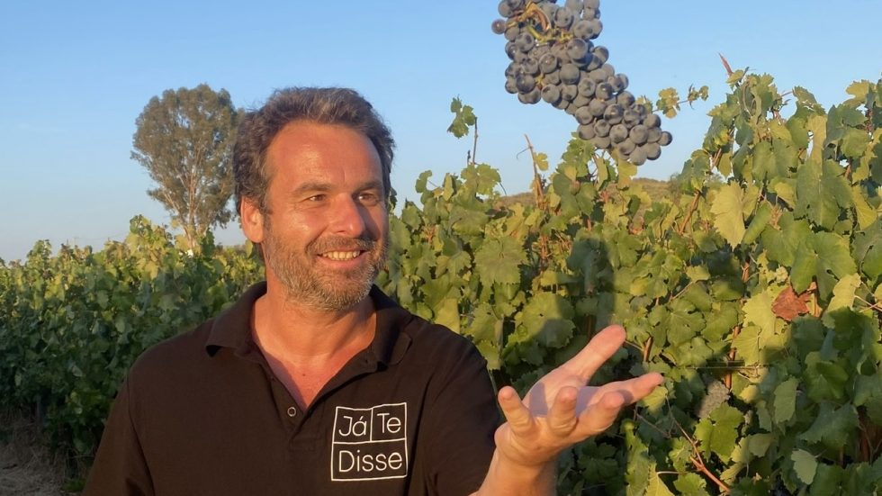 Jà te disse. I vini di Pedro Patrício