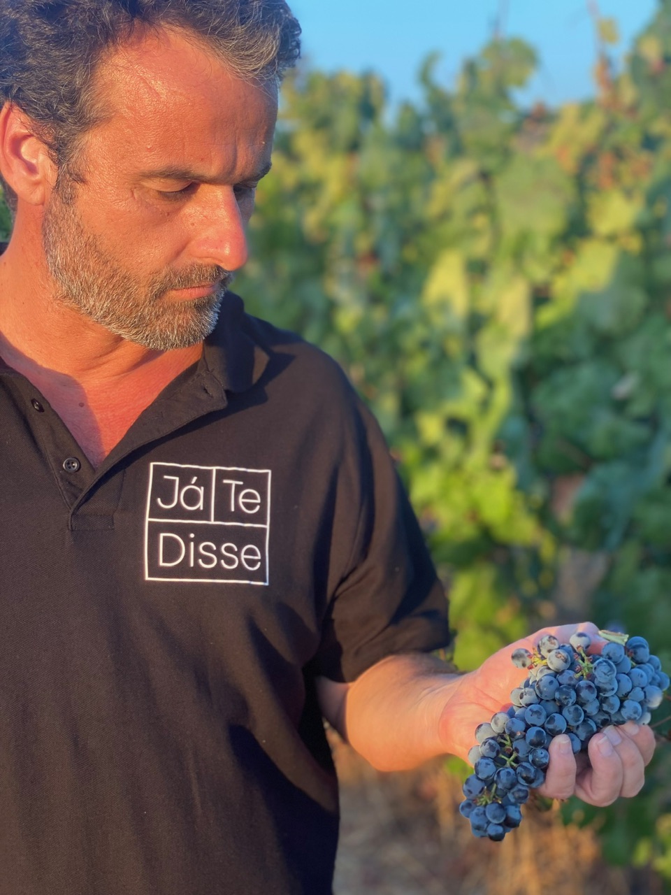 Jà te disse. I vini di Pedro Patrício