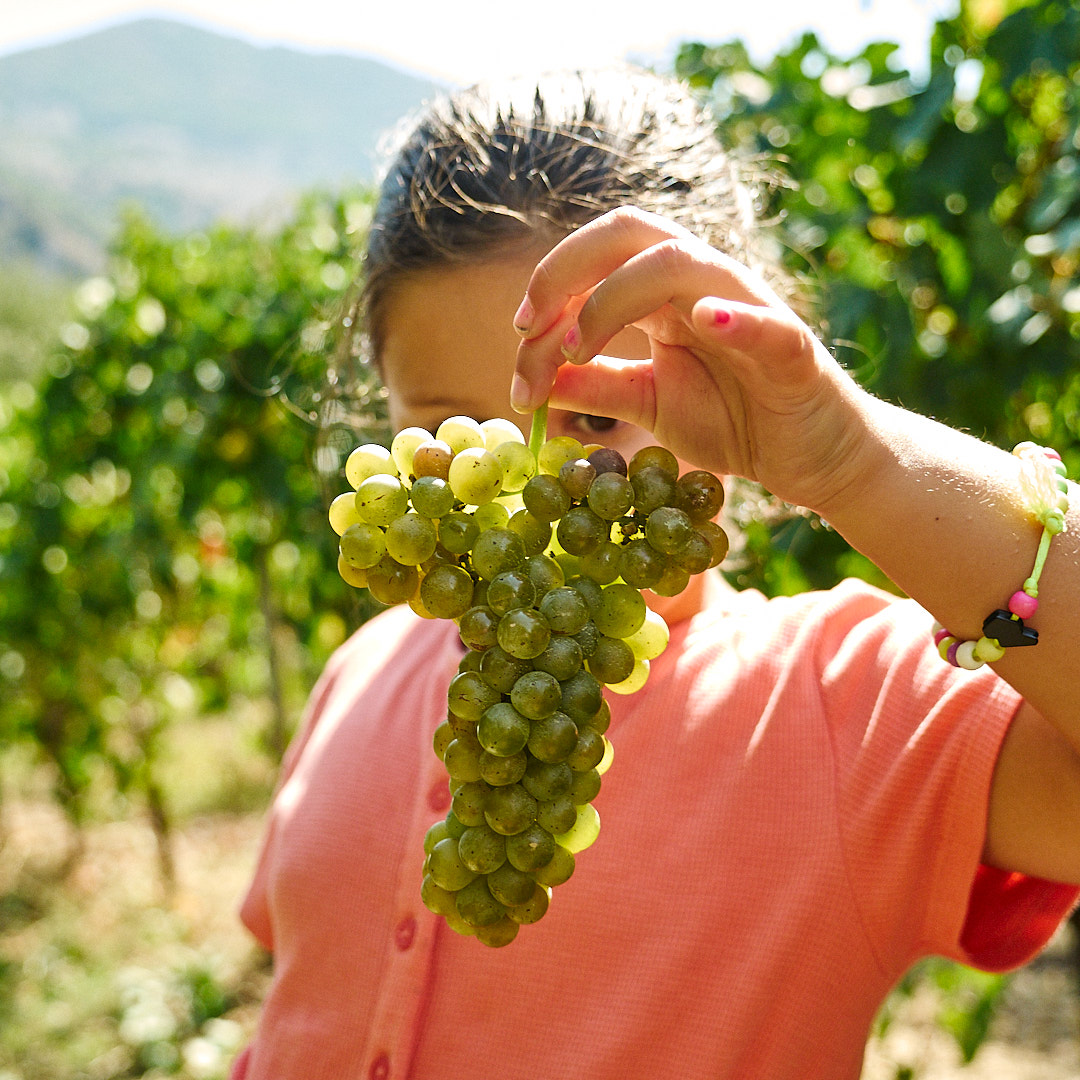 Trama di Cori: storie di famiglia, vino e bellezza autentica