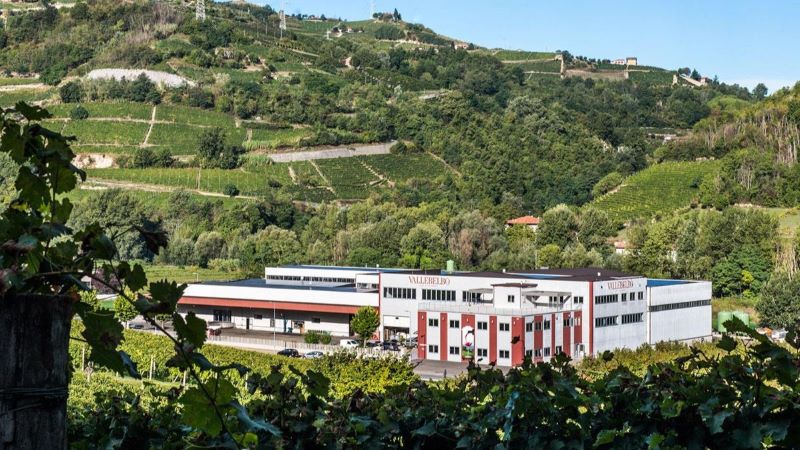 VINO: Veraison Group e Vallebelbo siglano una lettera d’intenti per una nuova alleanza strategica nelle Langhe