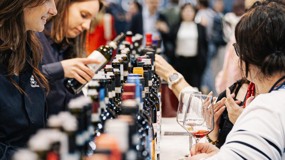 ViVa 2025, prima edizione: la Valtellina da bere, da vivere, da amare
