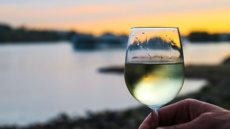 Vinarius intercetta le tendenze sui consumi dell’estate 2025
