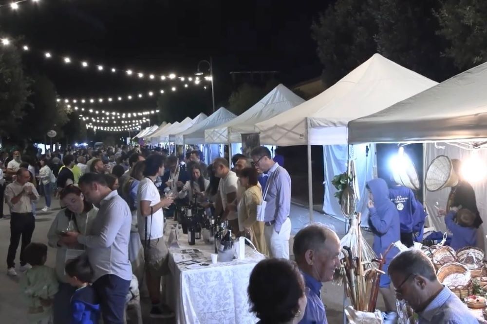 Vino Vivo 2025: la seconda edizione a Petrosino celebra i vini bianchi della costa occidentale della Sicilia