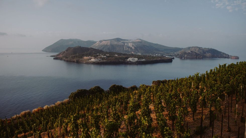 Tenuta di Castellaro: un’isola di esperienze tra vino, natura e ospitalità alle Eolie