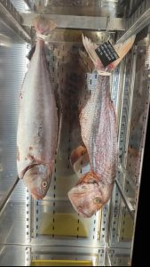 Sabbia di Mare a Bologna. Nasce il menù conviviale