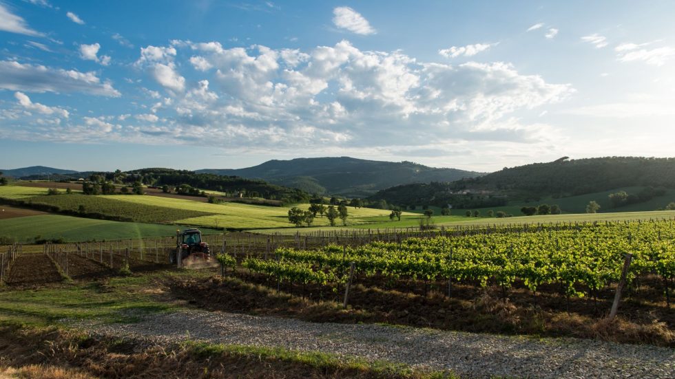 L’estate umbra in un calice: Vini Rosati, Vermouth e Cocktail d’Autore