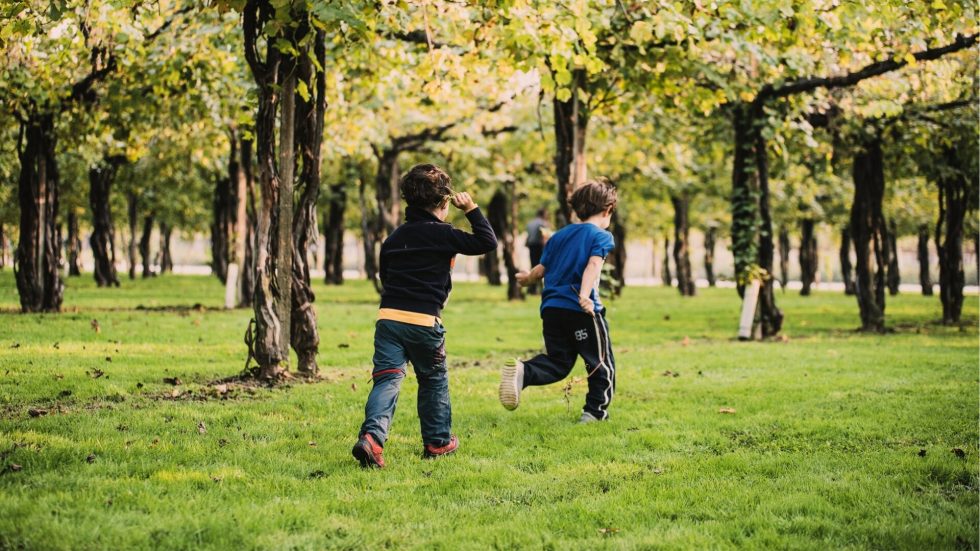 A Ca’ di Rajo torna l’attesissima “Vendemmia dei Bambini” domenica 7 settembre