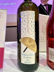 45° Forum della Cultura del Vino