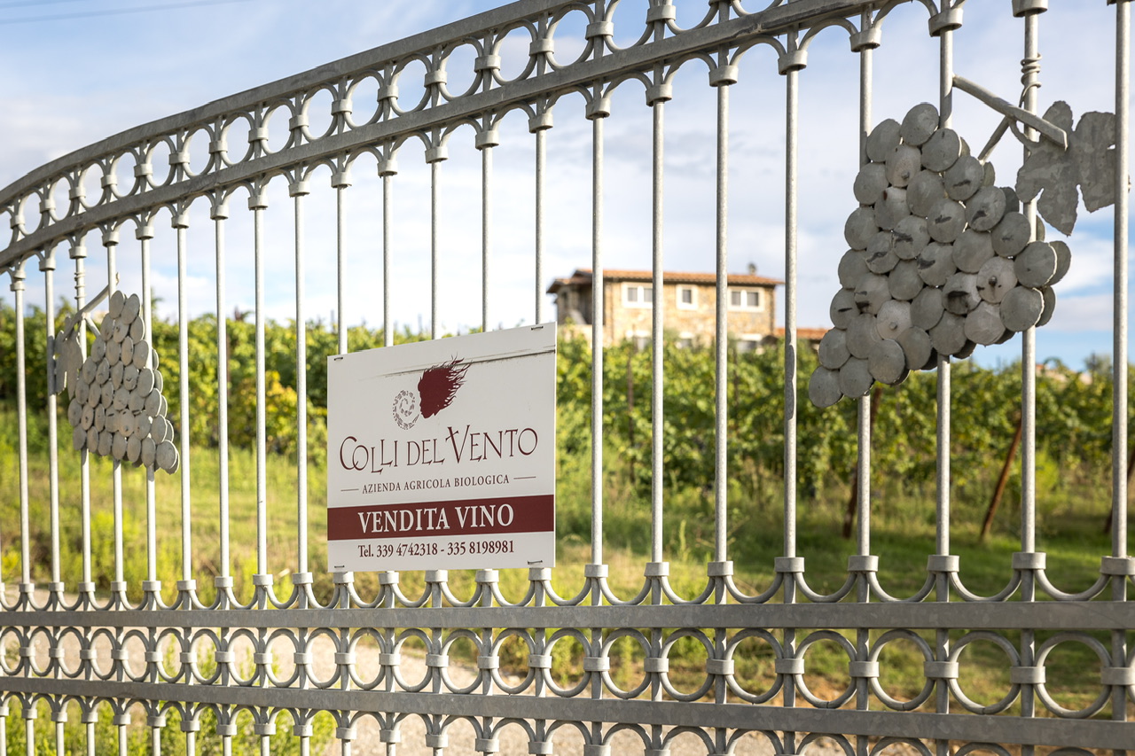 Colli del Vento. Antonella e Antonio, gli immortali